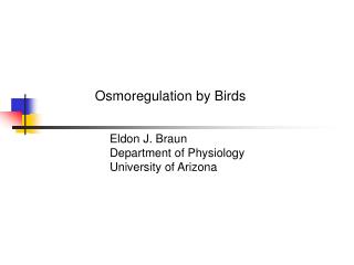Osmoregulation by Birds
