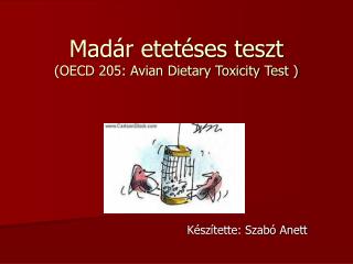 Madár etetéses teszt (OECD 205: Avian Dietary Toxicity Test )