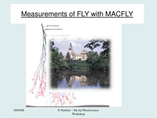 Measurements of FLY with MACFLY