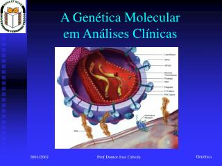 A Genética Molecular em Análises Clínicas