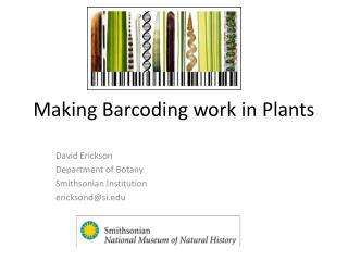 Making Barcoding work in Plants