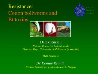 Resistance: Cotton bollworms and Bt toxins