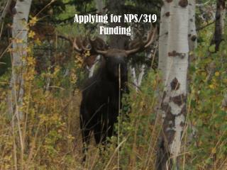 Applying for NPS/319 Funding