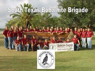 South Texas Bobwhite Brigade