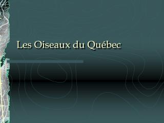 Les Oiseaux du Québec