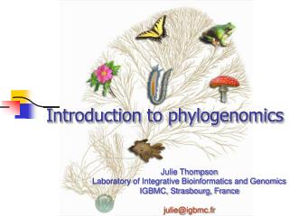 Introduction to phylogenomics