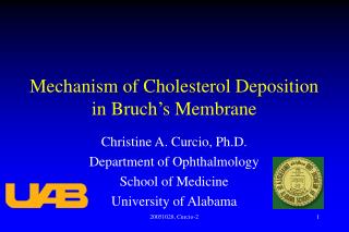 Mechanism of Cholesterol Deposition in Bruch’s Membrane