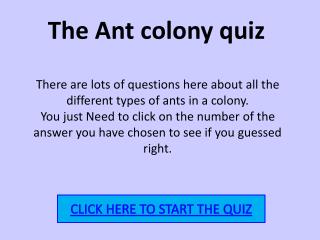 The Ant colony quiz