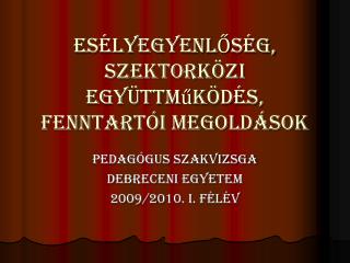 ESÉLYEGYENLŐSÉG, Szektorközi együttműködés, Fenntartói megoldások
