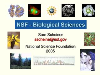 NSF - Biological Sciences