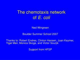 The chemotaxis network of E. coli