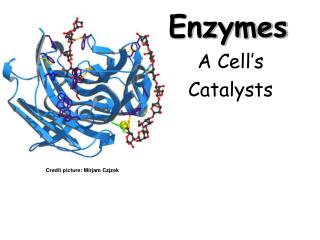 Enzymes