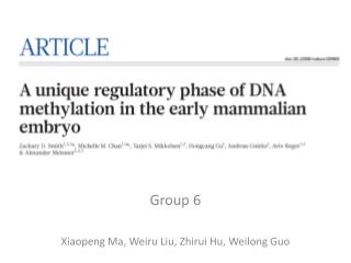 Group 6 Xiaopeng Ma, Weiru Liu, Zhirui Hu, Weilong Guo