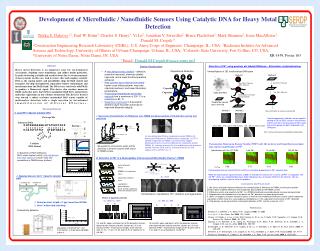 Development of Microfluidic / Nanofluidic Sensors Using Catalytic DNA for Heavy Metal Detection
