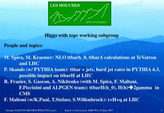 Higgs with tops working subgroup