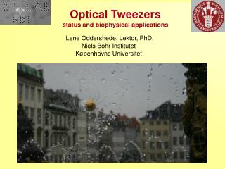 Optical Tweezers status and biophysical applications