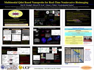 Multimodal Qdot Based Nanoprobe for Real-Time Noninvasive Bioimaging