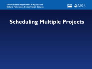 Scheduling Multiple Projects