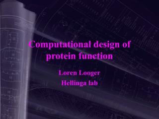 Computational design of protein function