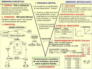 3 CONCEPTOS