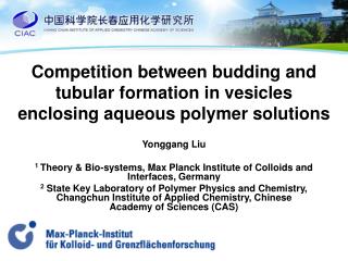 Competition between budding and tubular formation in vesicles enclosing aqueous polymer solutions