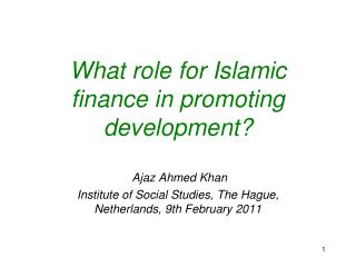 What role for Islamic finance in promoting development?