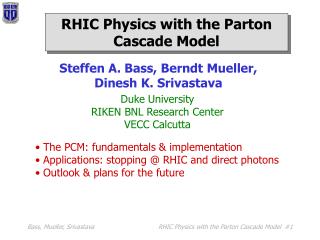 RHIC Physics with the Parton Cascade Model