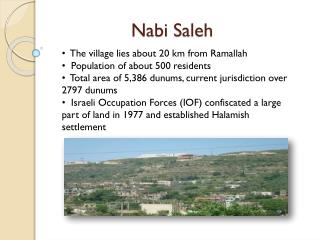 Nabi Saleh