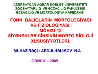 FƏNN: BALIQLARIN MORFOLOGİYASI VƏ FİZİOLOGİYASI. MÖVZU:12 SİYƏNƏKLƏR CİNSİNİN MORFO BİOLOJİ