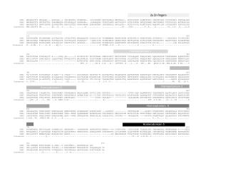 Homeodomain 1