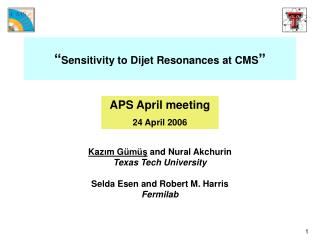 “ Sensitivity to Dijet Resonances at CMS ”