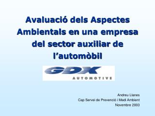 Avaluació dels Aspectes Ambientals en una empresa del sector auxiliar de l’automòbil