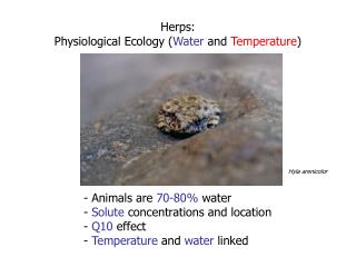 Herps: Physiological Ecology ( Water and Temperature )