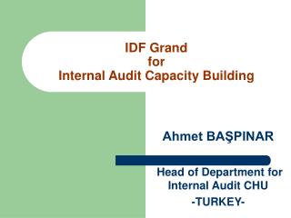 IDF Grand for Internal Audit Capacity Building