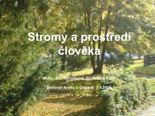 Stromy a prostředí člověka