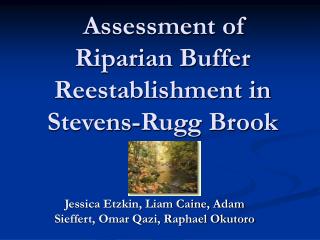 Assessment of Riparian Buffer Reestablishment in Stevens-Rugg Brook