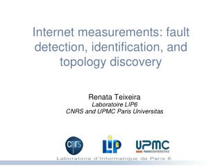 Internet measurements: fault detection, identification, and topology discovery