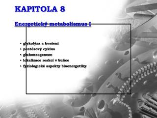 KAPITOLA 8