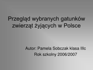 Przegląd wybranych gatunków zwierząt żyjących w Polsce