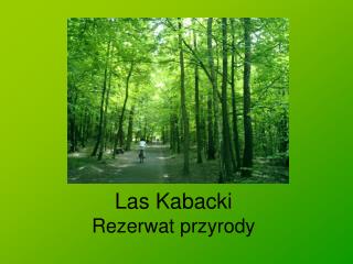 Las Kabacki Rezerwat przyrody