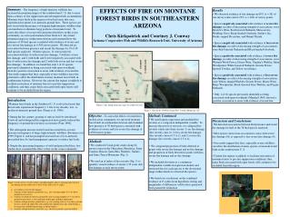 EFFECTS OF FIRE ON MONTANE FOREST BIRDS IN SOUTHEASTERN ARIZONA