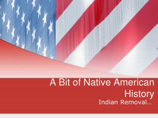 A Bit of Native American History