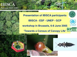 Presentation of IBISCA participants IBISCA - ESF - UNEP - GCP workshop in Brussels, 6-8 June 2005