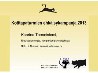 Kotitapaturmien ehkäisykampanja 2013