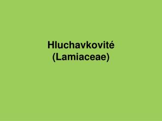 Hluchavkovité (Lamiaceae)