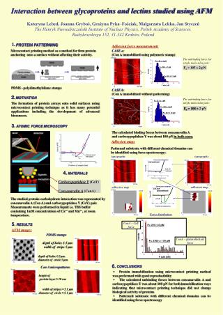 Interaction between glycoproteins and lectins studied using AFM