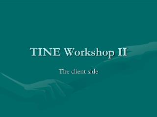 TINE Workshop II