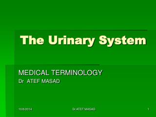 The Urinary System