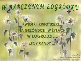 W BABCZYNYM ŁOGRÓDKU