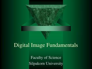 Digital Image Fundamentals